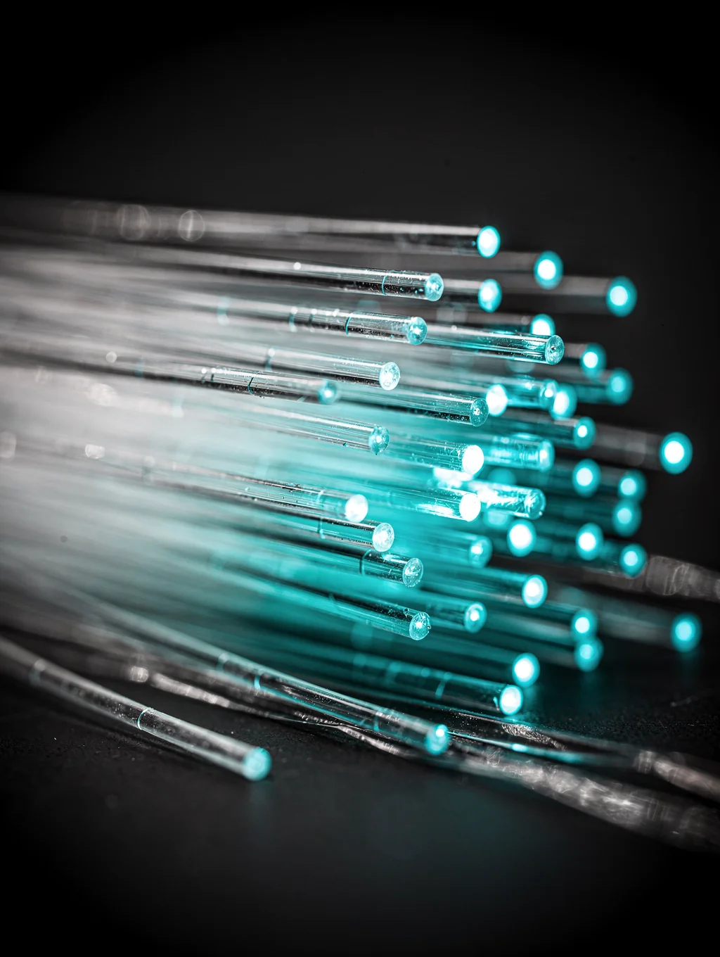 Close-up of high-speed fiber optic cabling
